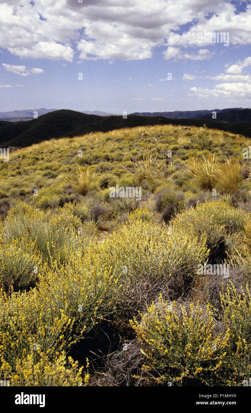 La Sierra de Los Filabres montagne vicino a Alcudia (53). Foto Stock