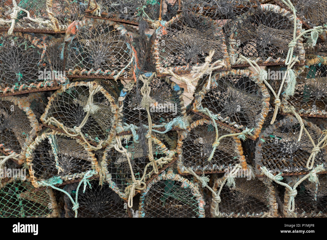 Aragosta impilati e attività di pesca del granchio pentole, Crail, Fife, Regno Unito. Foto Stock