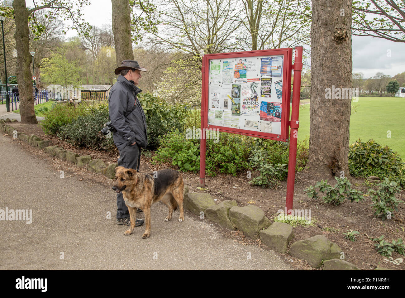 Un maschio dog walker è alla ricerca di un turista bacheca in Roberts Park, Saltaire. Foto Stock