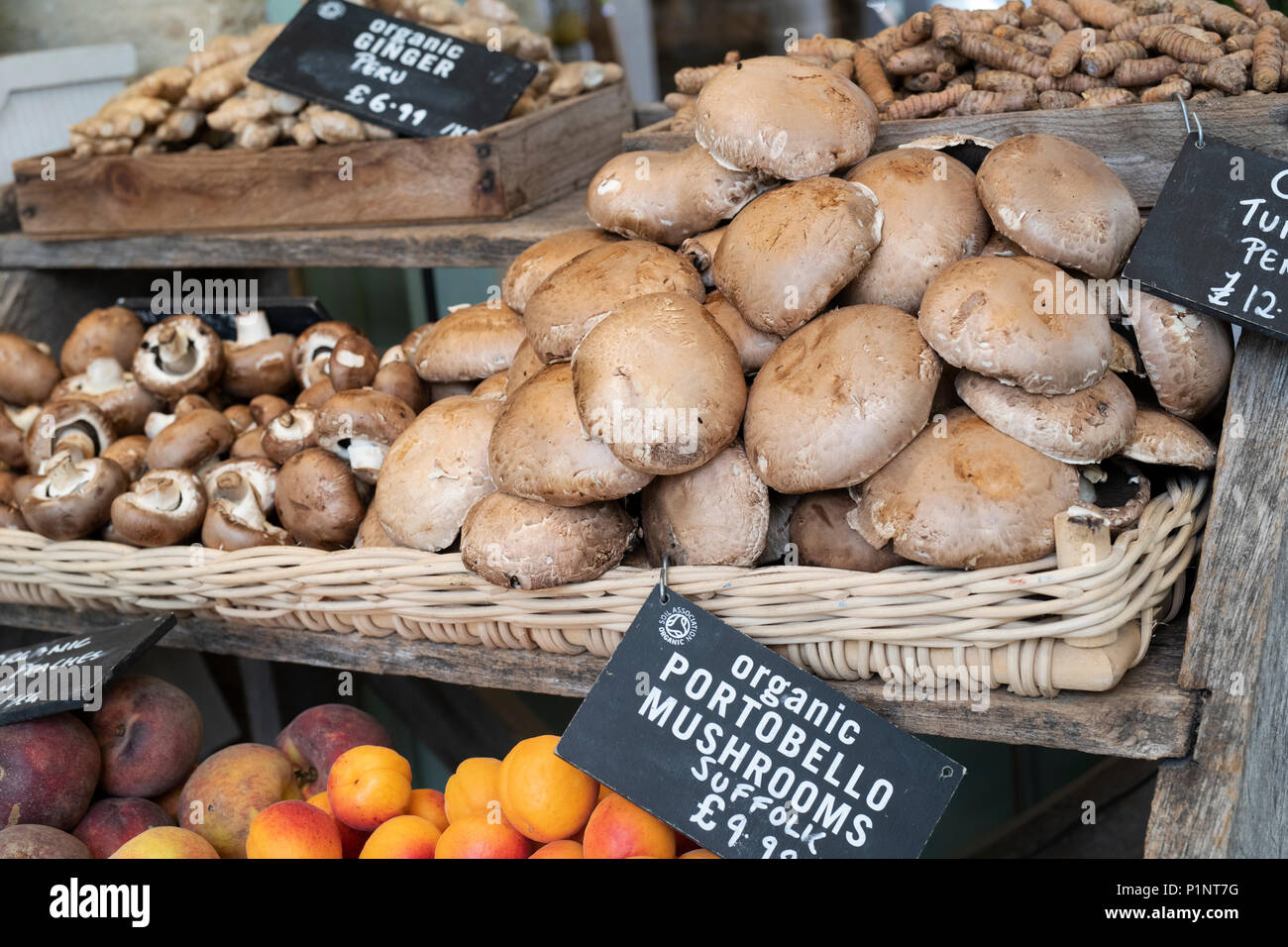 Organici di funghi Champignon in vendita a Daylesford Organic farm shop festival estivi. Daylesford, Cotswolds, Gloucestershire, Inghilterra Foto Stock