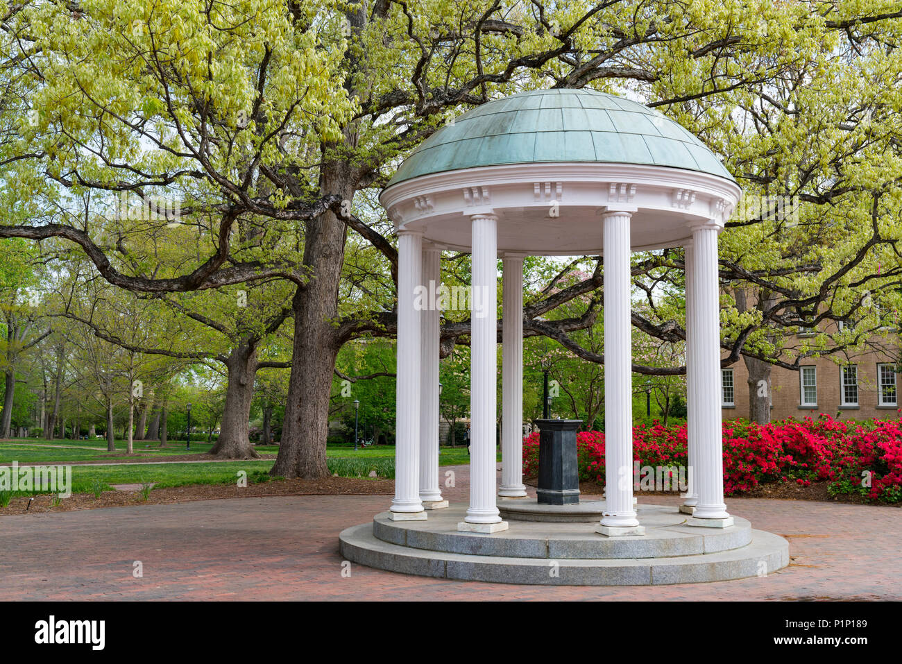 I fiori sbocciano in primavera presso il vecchio pozzo Rotunda presso l' Università della North Carolina a Chapel Hill Foto Stock