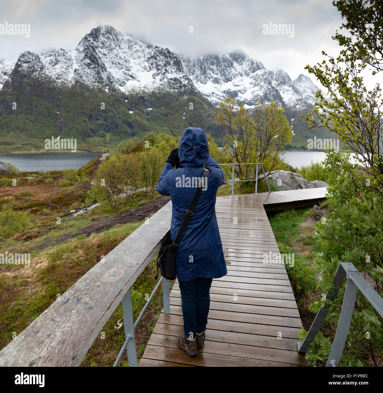 Turista femminile acquisisce il giugno del paesaggio in Norvegia Foto Stock