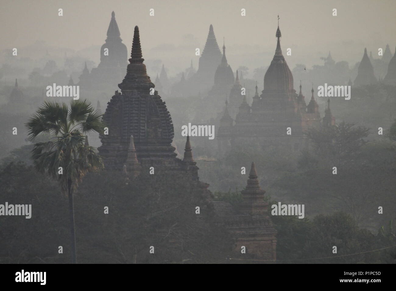 Templi di Bagan Foto Stock