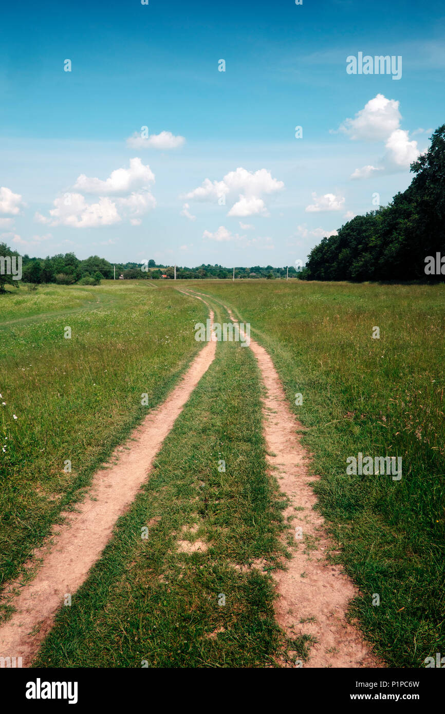 Circolazione su strada, campo e foresta Foto Stock