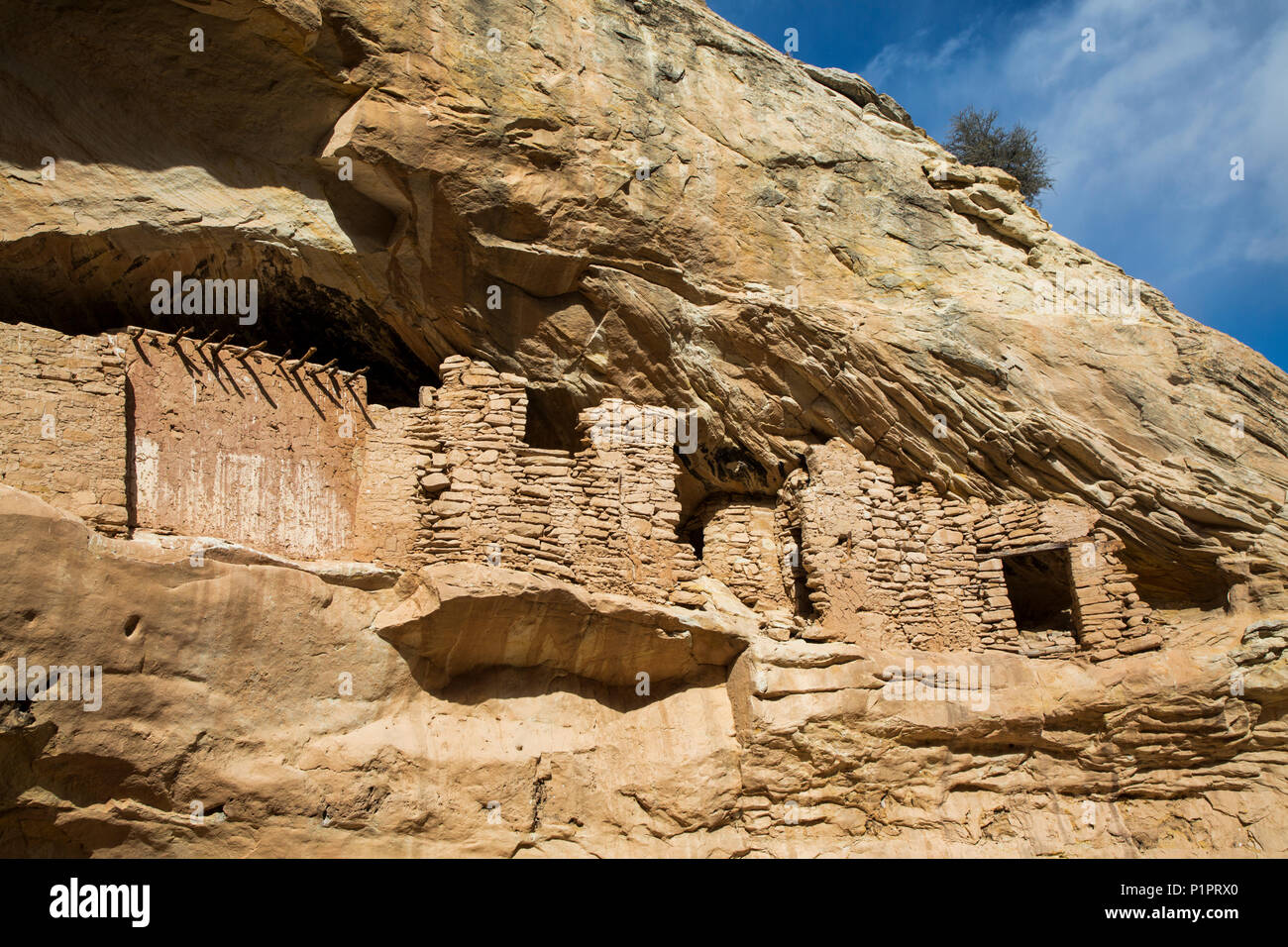 Rovine di destinazione, ancestrale Pueblo, fino a 1.000 anni, porta le orecchie monumento nazionale; Utah, Stati Uniti d'America Foto Stock