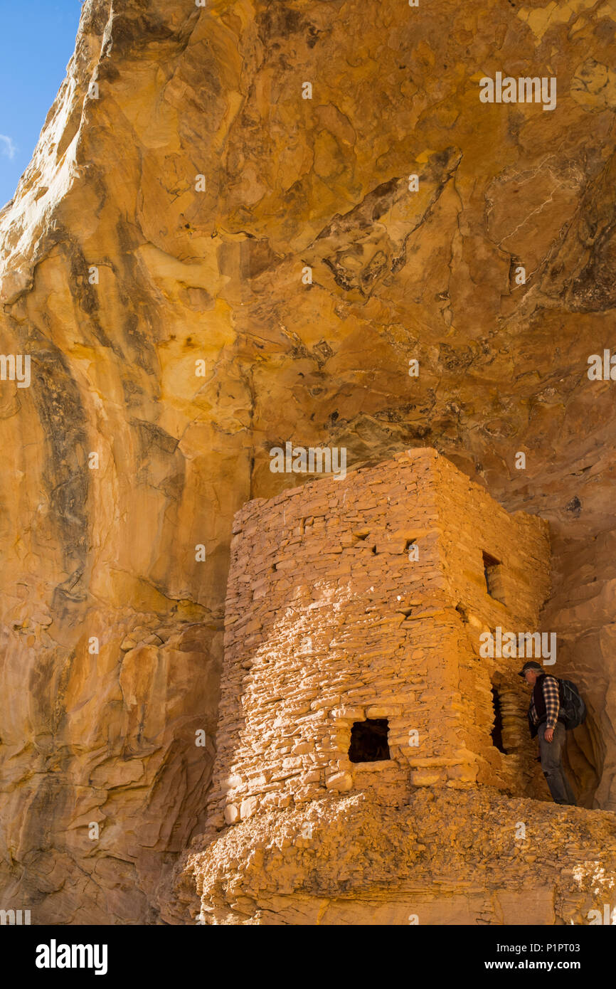 Rovine della torre, ancestrale Pueblo, fino a 1.000 anni, porta le orecchie monumento nazionale; Utah, Stati Uniti d'America Foto Stock