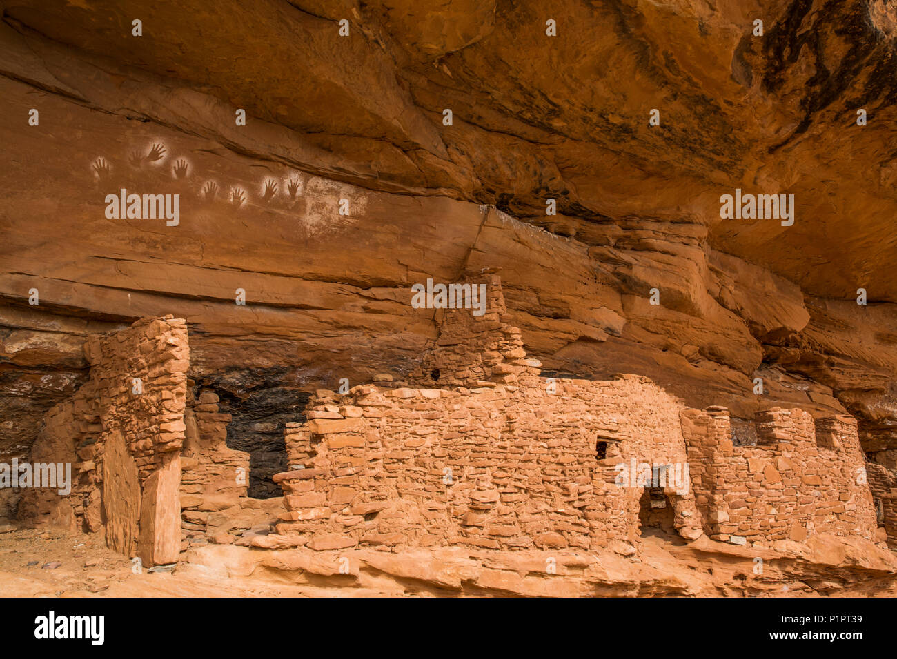 Handprints retromarcia, ancestrale Pueblo, fino a 1.000 anni, porta le orecchie monumento nazionale; Utah, Stati Uniti d'America Foto Stock