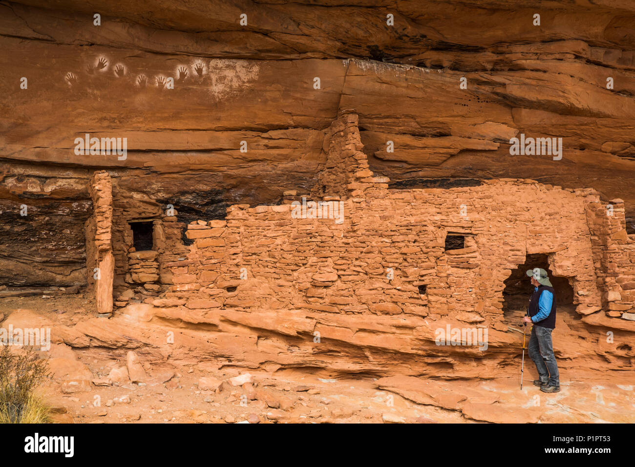 Escursionista guardando indietro Handprints, ancestrale Pueblo, fino a 1.000 anni, porta le orecchie monumento nazionale; Utah, Stati Uniti d'America Foto Stock