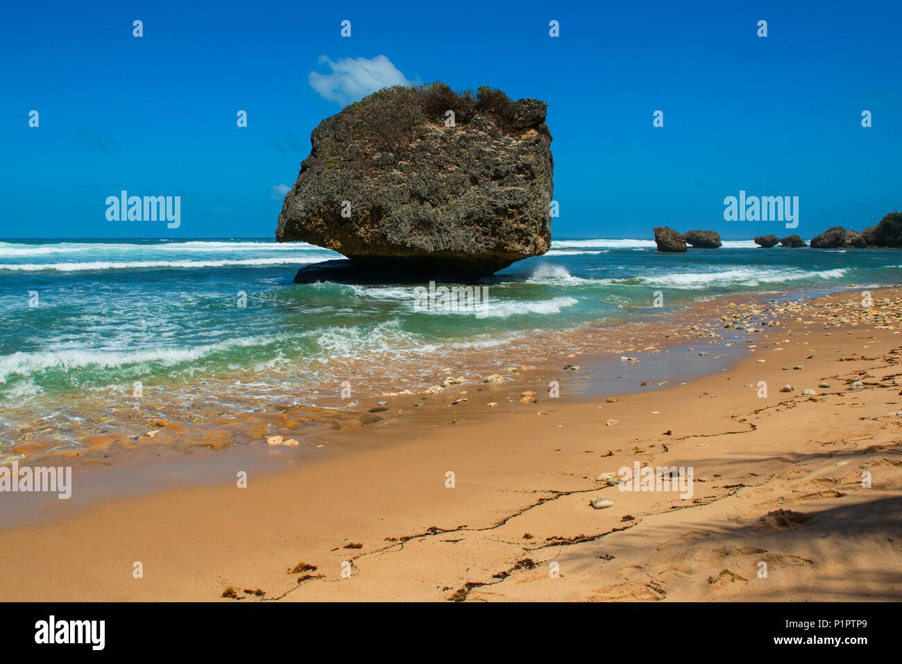 Grande roccia che è stata spezzata da una barriera corallina, sulla spiaggia di Betsabea; Barbados Foto Stock