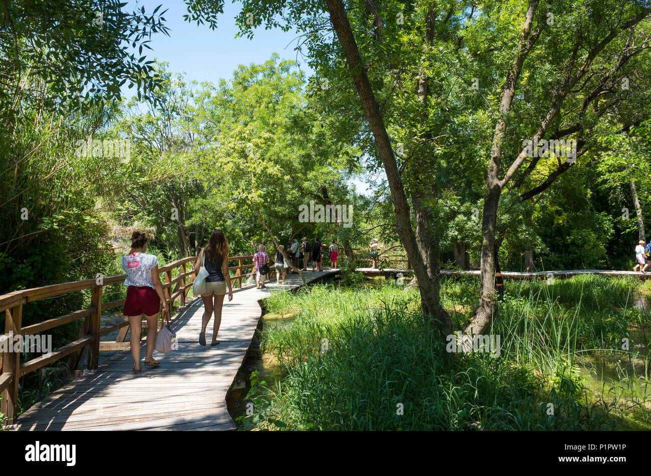 Parco Nazionale di Krka Croazia Europa. Il 2 giugno 2018, bella e soleggiata giornata estiva.bella foto all'aperto della natura e del paesaggio. Laghi, fiumi e cascate. Foto Stock