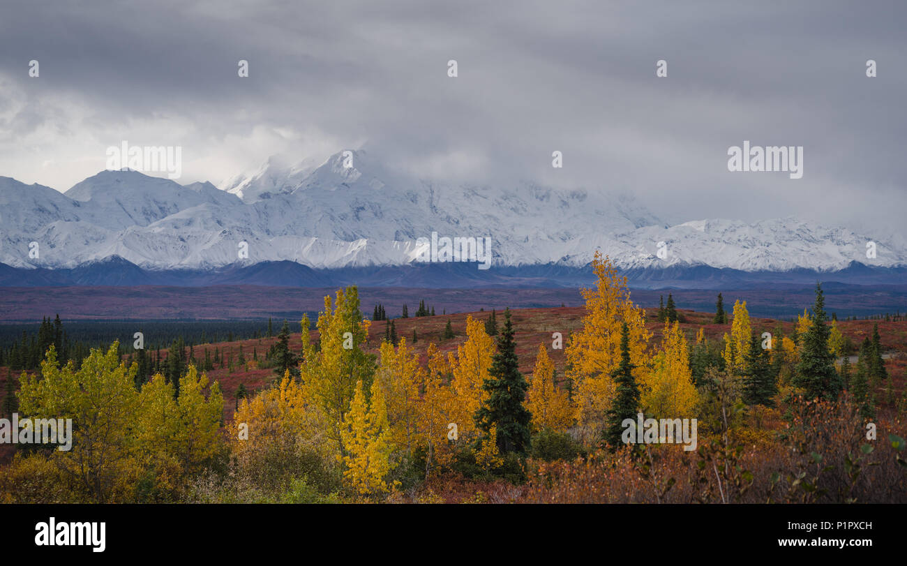 Autunnale di Denali National Park scenario in giorno nuvoloso Foto Stock