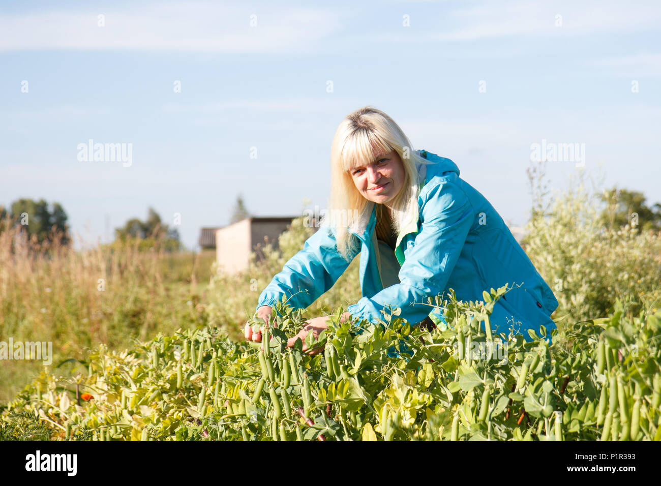 Womwn in orto Foto Stock