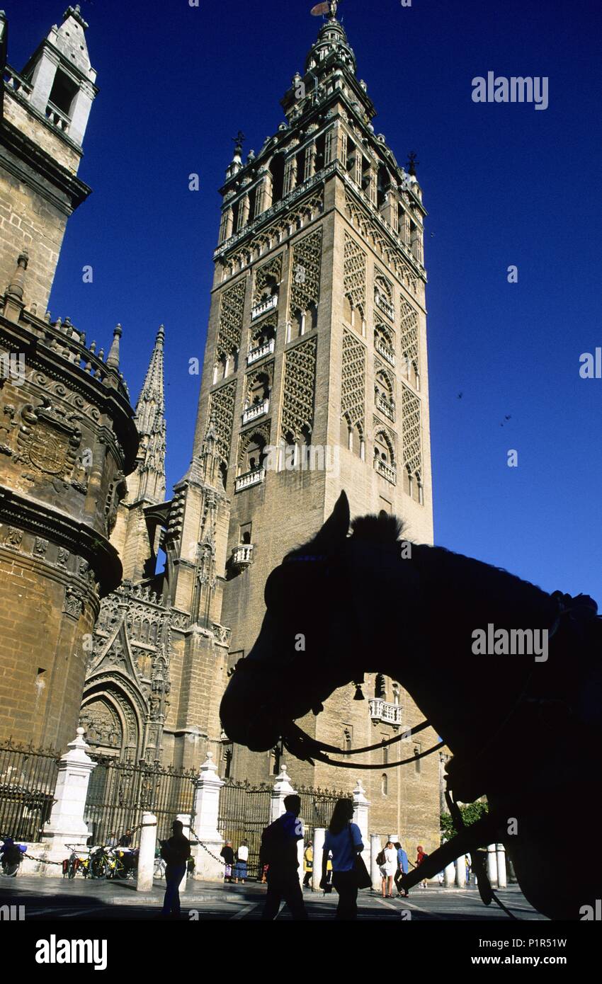 Cattedrale di Sevilla e Giralda visto dal "Virgen de los Reyes L' square. Foto Stock