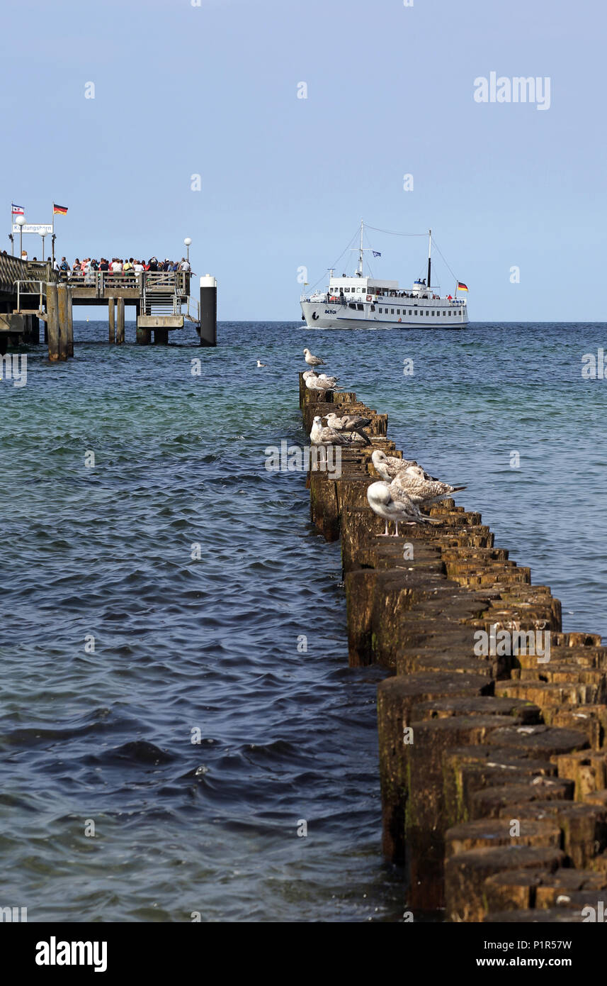 Kuehlungsborn, Germania, nave passeggeri MS Baltica poco prima di atterrare a Seebruecke Foto Stock