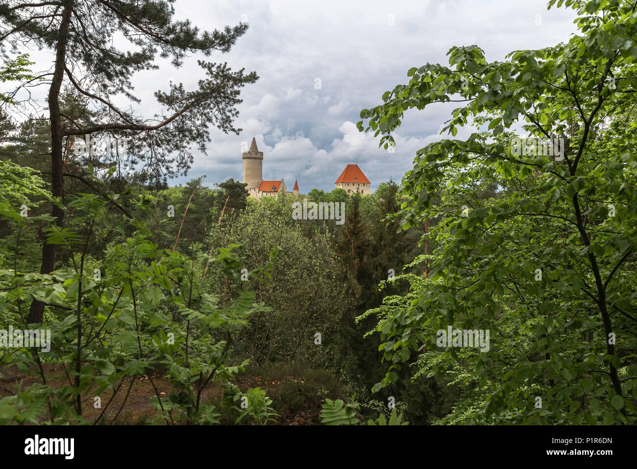 Kokořín - castello, situato a 14 chilometri a nord-est della città di Melnik. Fu costruita nella prima metà del XIV secolo Foto Stock