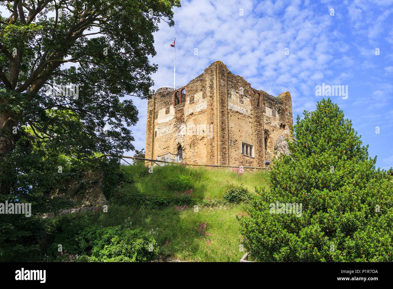 Cassero / grande torre del Castello di Guildford rovine, un punto di riferimento da epoca normanna nel centro di Guildford, capoluogo di contea di Surrey, Inghilterra sudorientale, REGNO UNITO Foto Stock
