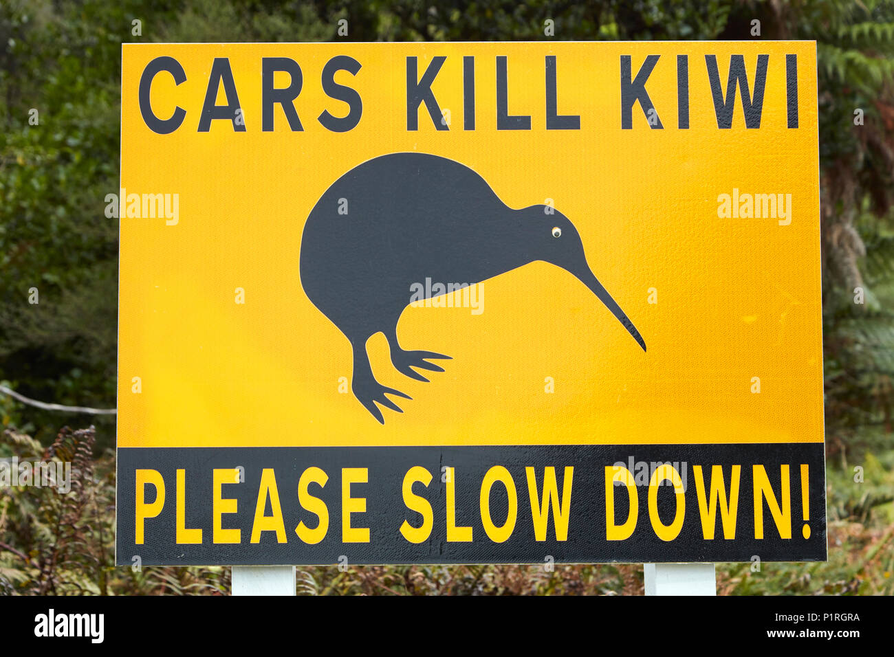 Kiwi segno di avvertimento, Okarito, nella costa occidentale dell'Isola del Sud, Nuova Zelanda Foto Stock