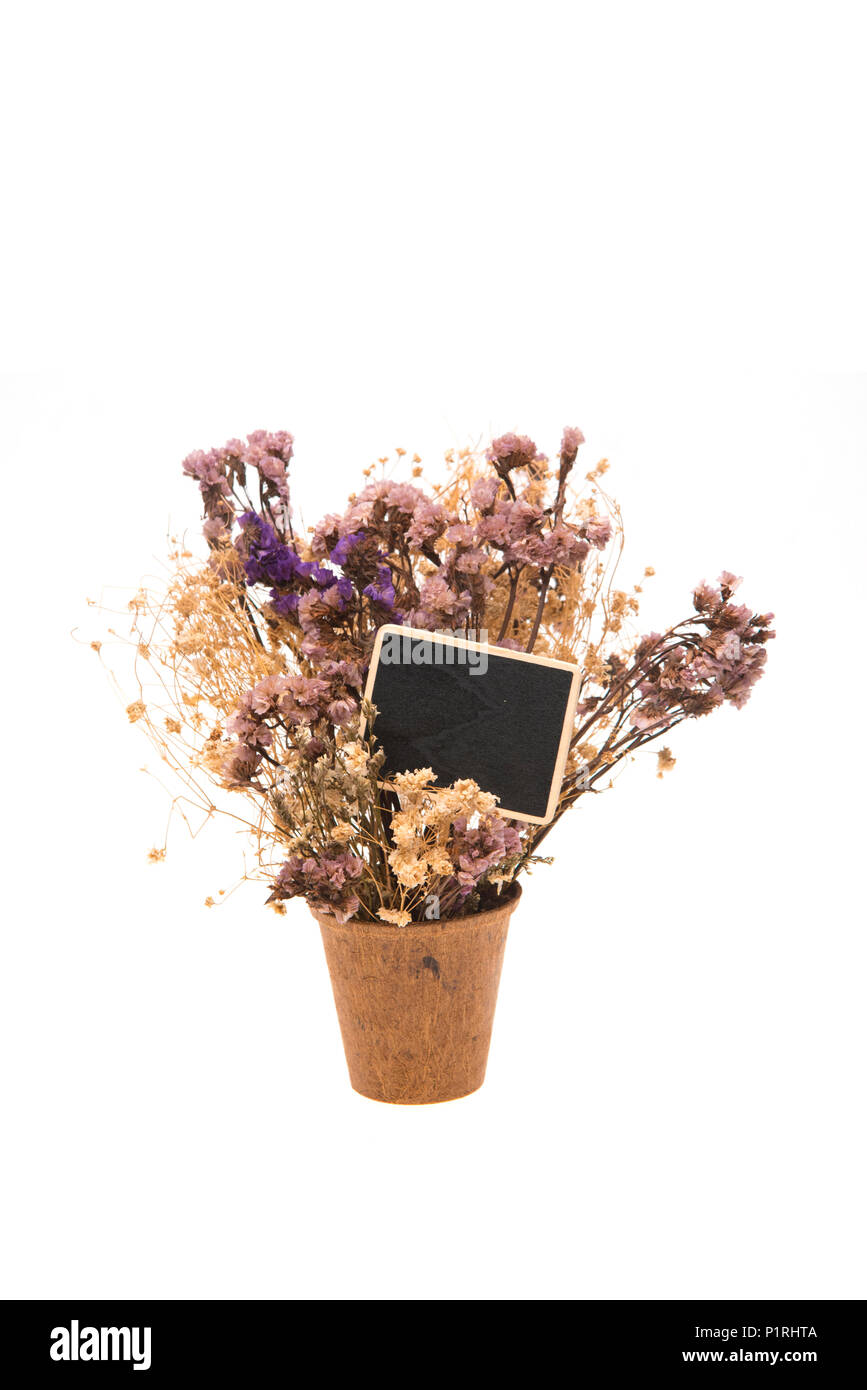 Scheda nero su bianco con fiore secco per scrivere il messaggio. Foto Stock
