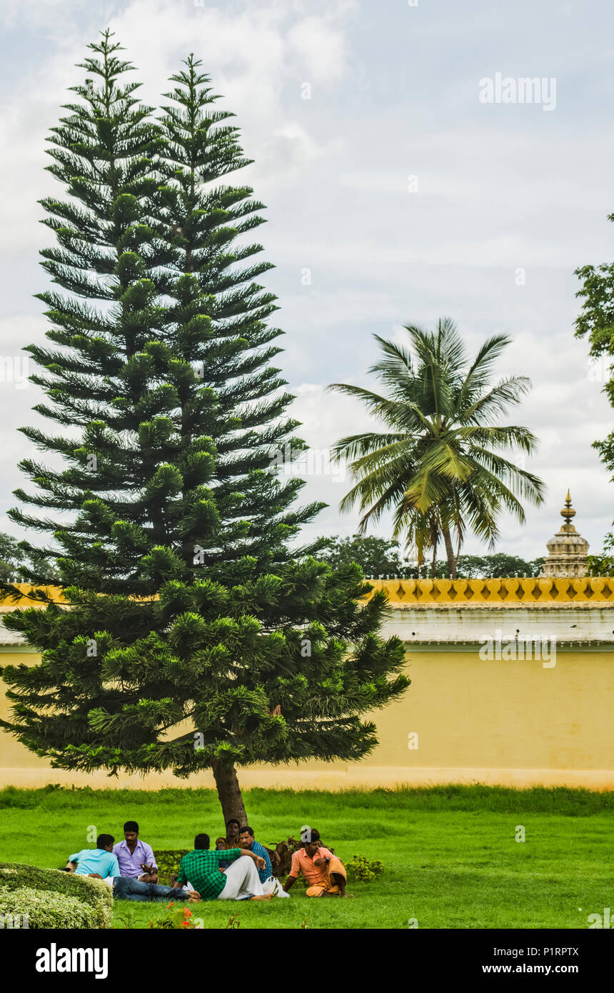 Gli uomini in appoggio sotto un pino, Mysore Palace; Mysore, Karnataka, India Foto Stock