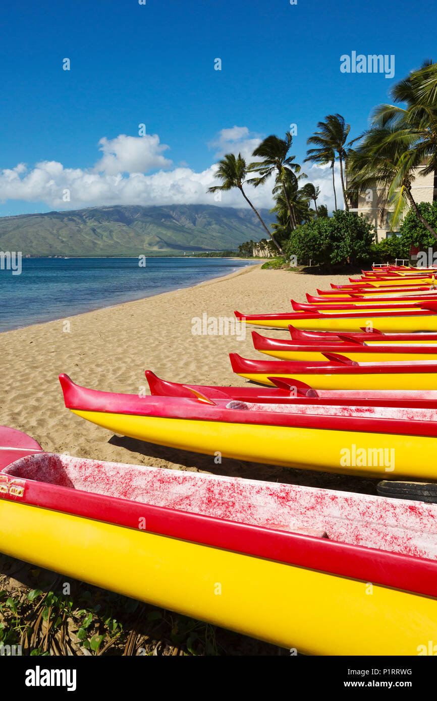 Canoe Outrigger all'estremità nord di Kihei; Kihei, Maui, Hawaii, Stati Uniti d'America Foto Stock