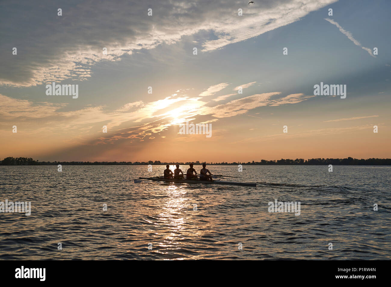 Hanlan Boat Club Junior uomini alla pratica mattutina nel Lago Ontario; Toronto, Ontario, Canada Foto Stock