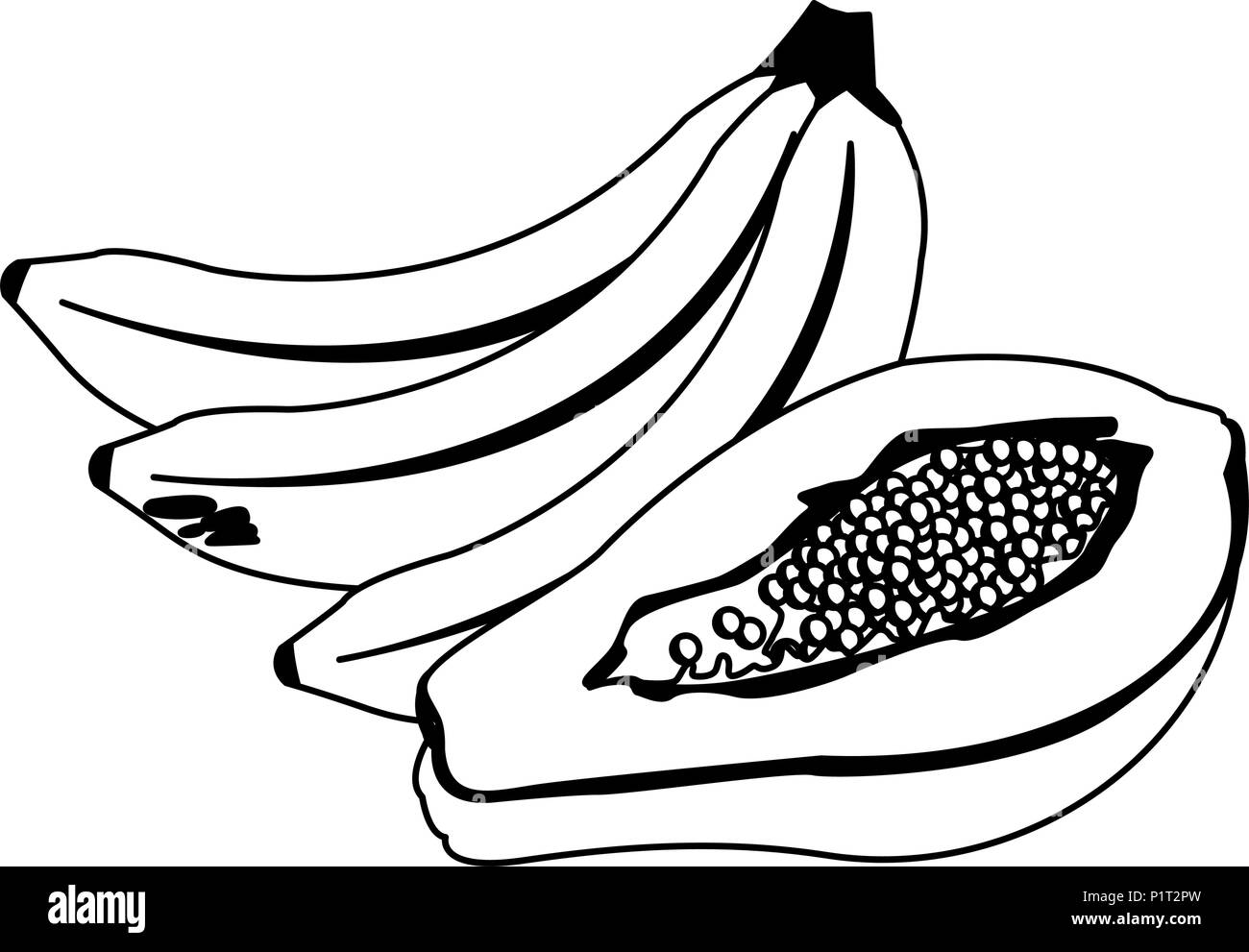 Banane e papaya in bianco e nero Illustrazione Vettoriale