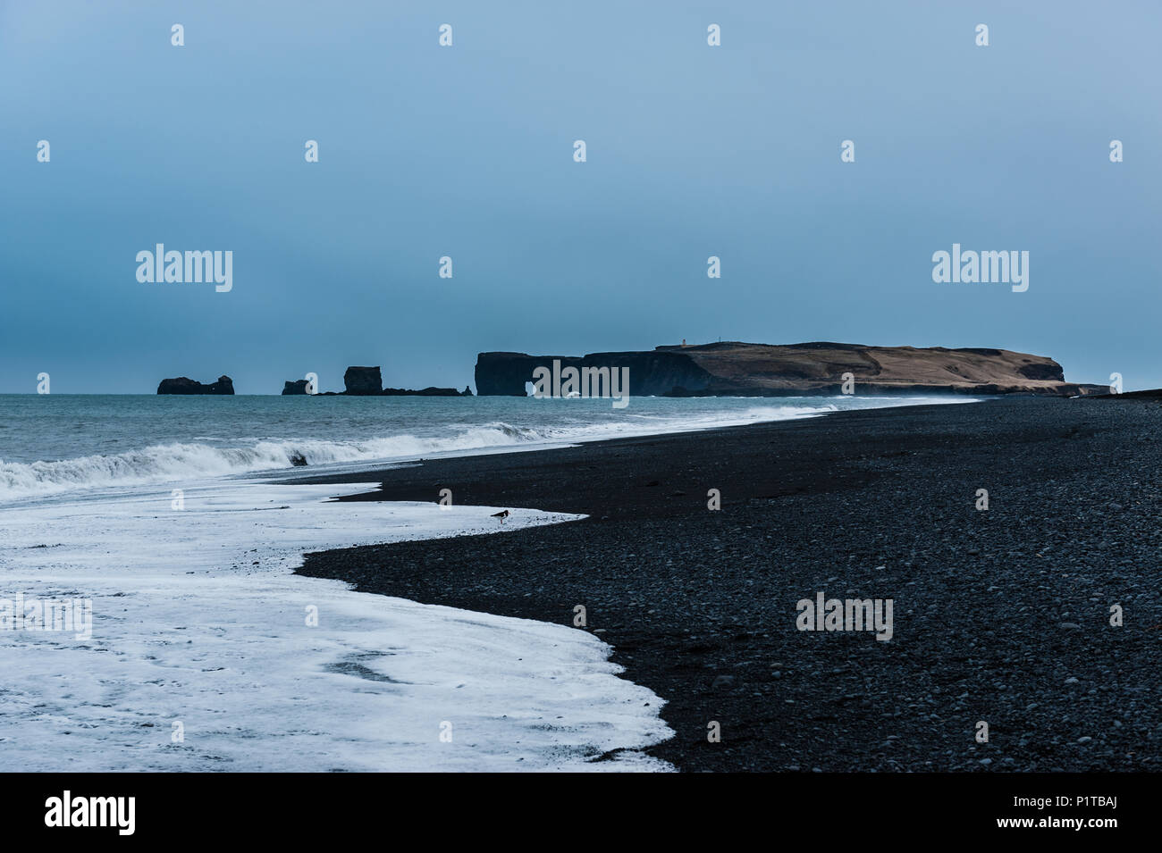 Islandese sabbiato nero spiaggia presso il capo di Vik y Myrdal, Islanda aprile 2018 Foto Stock