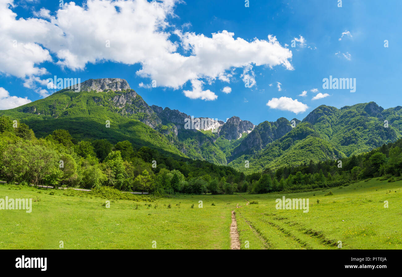 Parco nazionale d'Abruzzo, Lazio e Molise (Italia) - La Primavera in montagna italiana riserva naturale, con paesaggi, animali selvatici e la Camosciara Foto Stock