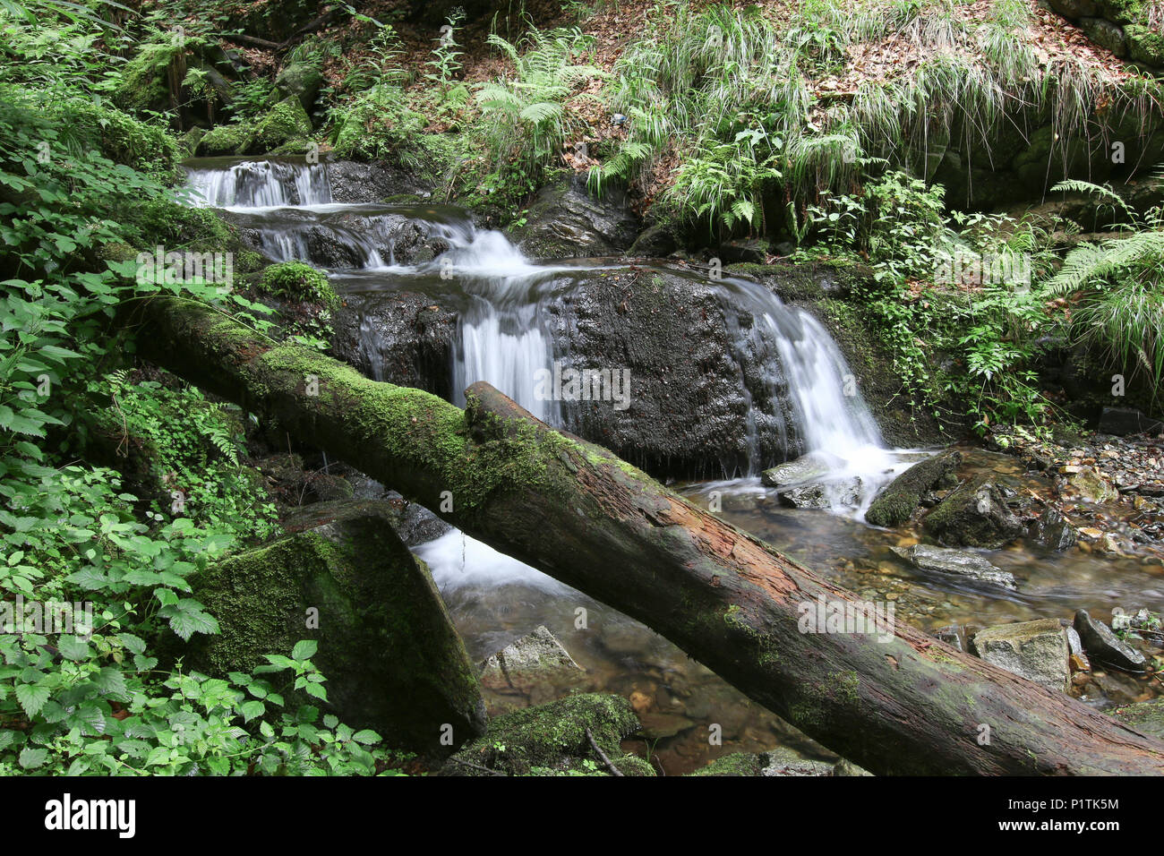 Nyznerov cascate sul torrente Siver, Repubblica Ceca. Silver Creek Falls, anche Nyznerov cascate si trova nel villaggio di Skorosice superiore a 12 ett Foto Stock