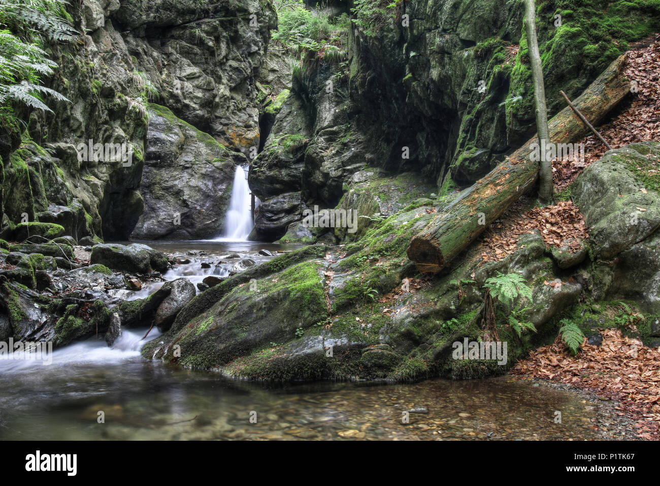 Nyznerov cascate sul torrente Siver, Repubblica Ceca. Silver Creek Falls, anche Nyznerov cascate si trova nel villaggio di Skorosice superiore a 12 ett Foto Stock
