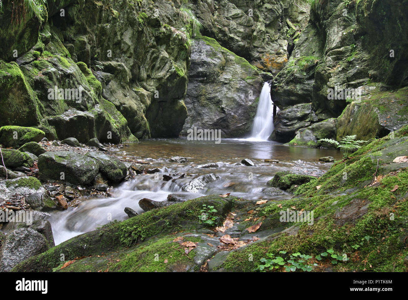 Nyznerov cascate sul torrente Siver, Repubblica Ceca. Silver Creek Falls, anche Nyznerov cascate si trova nel villaggio di Skorosice superiore a 12 ett Foto Stock