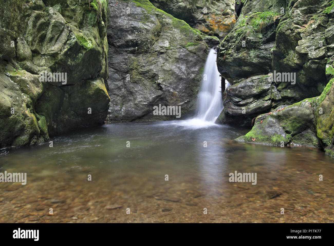 Nyznerov cascate sul torrente Siver, Repubblica Ceca. Silver Creek Falls, anche Nyznerov cascate si trova nel villaggio di Skorosice superiore a 12 ett Foto Stock