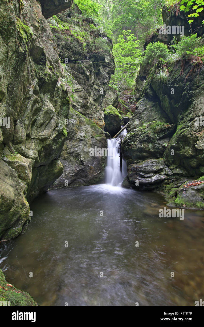 Nyznerov cascate sul torrente Siver, Repubblica Ceca. Silver Creek Falls, anche Nyznerov cascate si trova nel villaggio di Skorosice superiore a 12 ett Foto Stock
