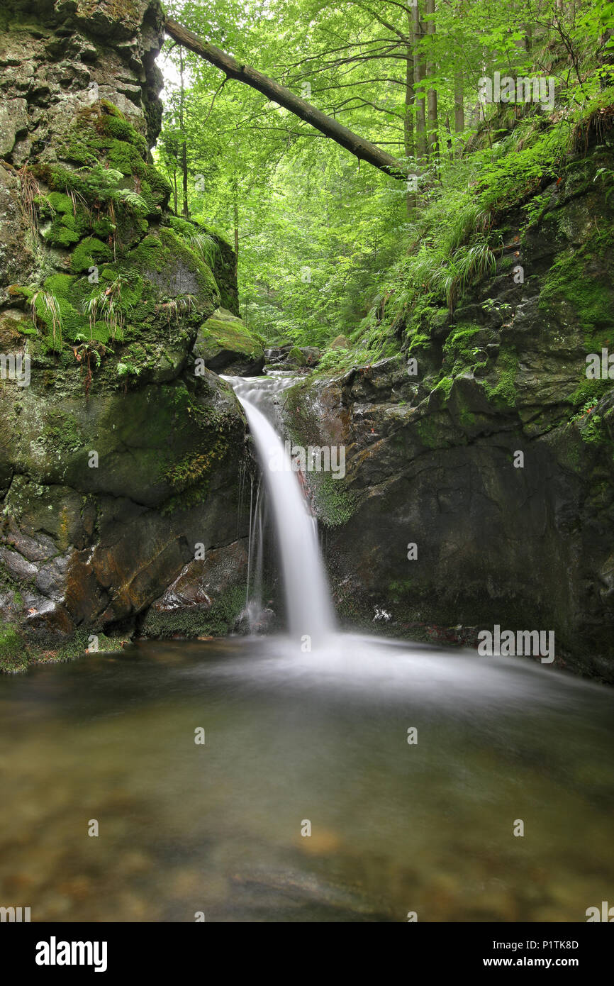 Nyznerov cascate sul torrente Siver, Repubblica Ceca. Silver Creek Falls, anche Nyznerov cascate si trova nel villaggio di Skorosice superiore a 12 ett Foto Stock