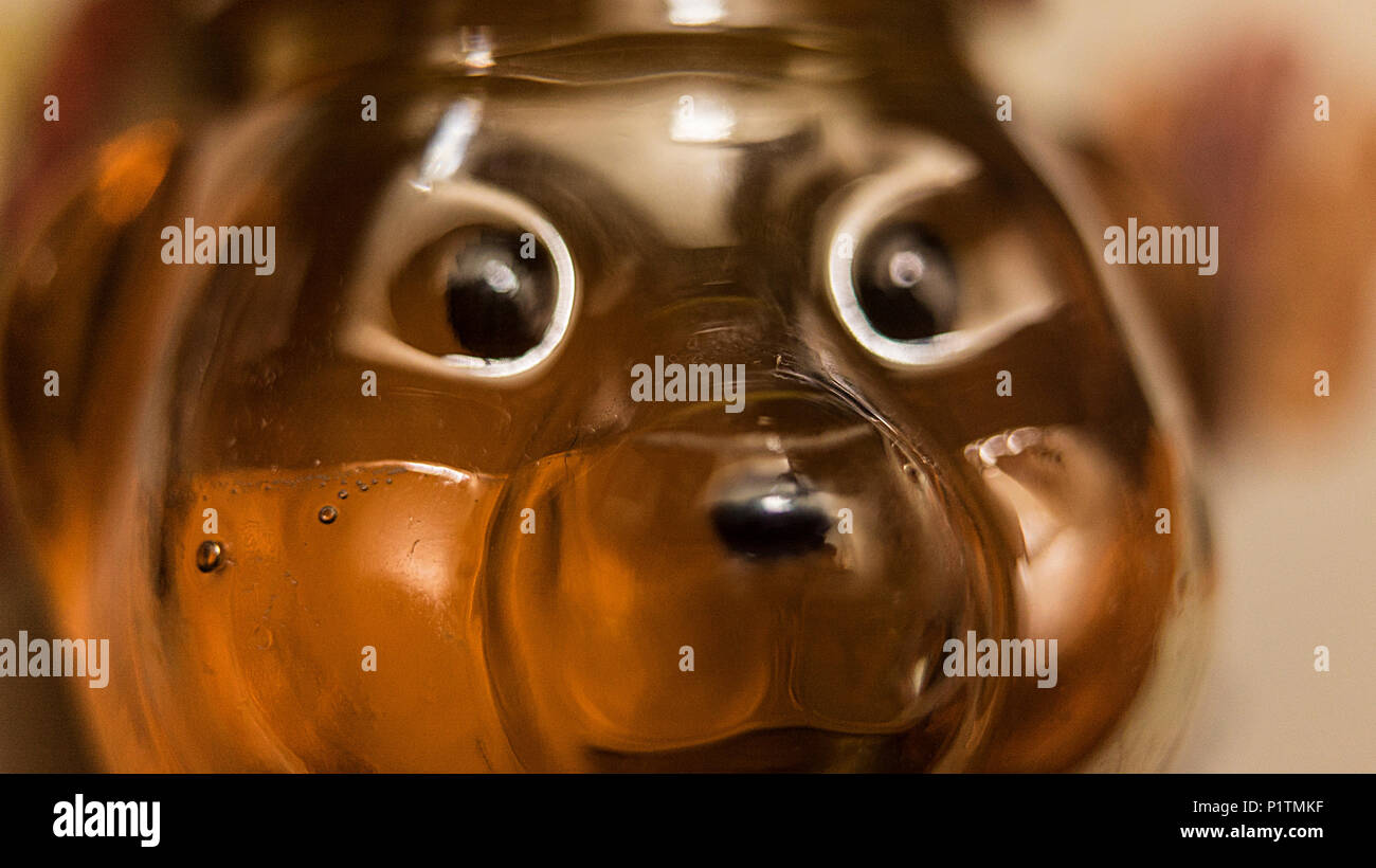 Primo piano dell'orso di miele Foto Stock