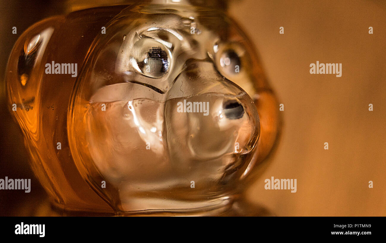 Primo piano dell'orso di miele Foto Stock