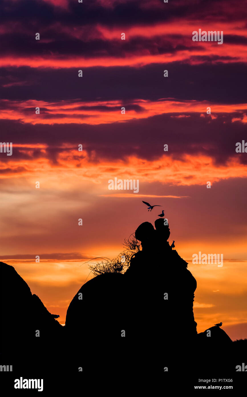 I colori del tramonto riempire il cielo di Tillamook Bay sulla costa dell'Oregon; Garibaldi, Oregon, Stati Uniti d'America Foto Stock