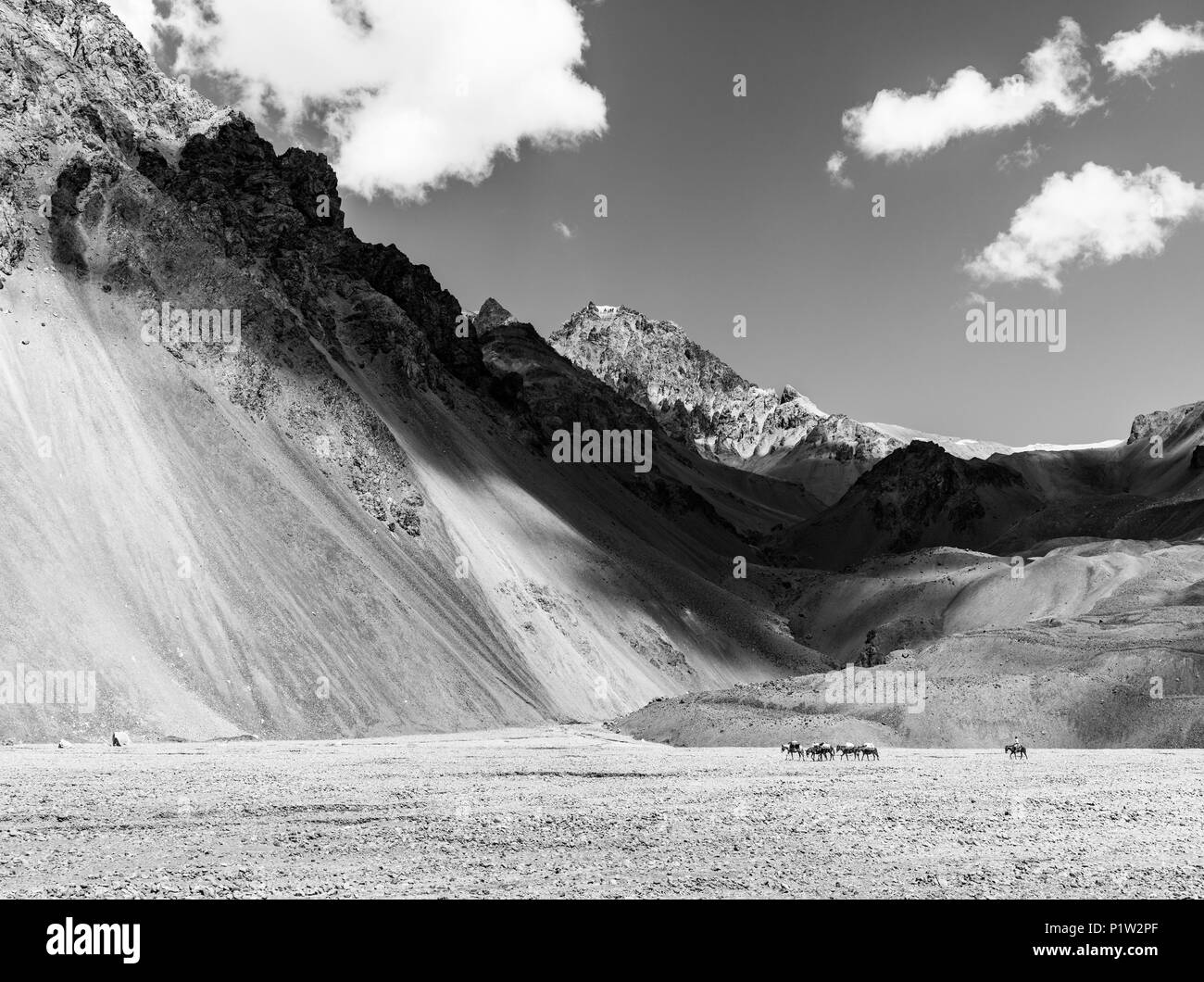 Immagine in bianco e nero di cavalieri su muleback attraversando una valle circondata da montagne Foto Stock