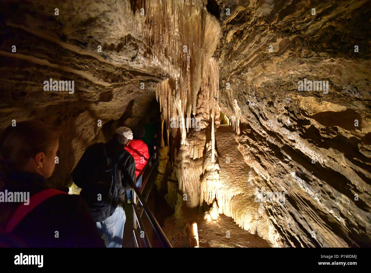 Mole Creek grotta di pietra calcarea, Tasmania, Australia Foto Stock