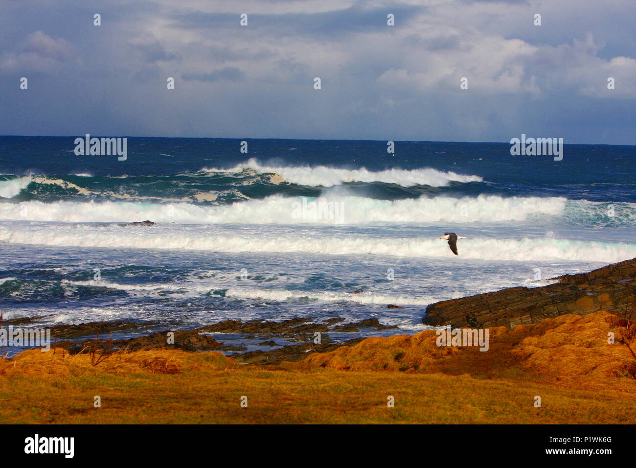 Un burrascoso giornata invernale sul mare del Nord Isole Orcadi Scozia, Regno Unito Foto Stock