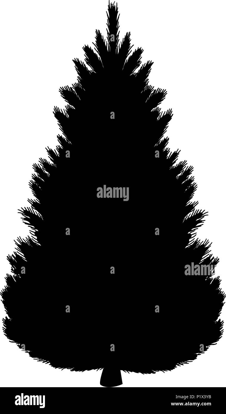 Silhouette abete flora di conifere Illustrazione Vettoriale