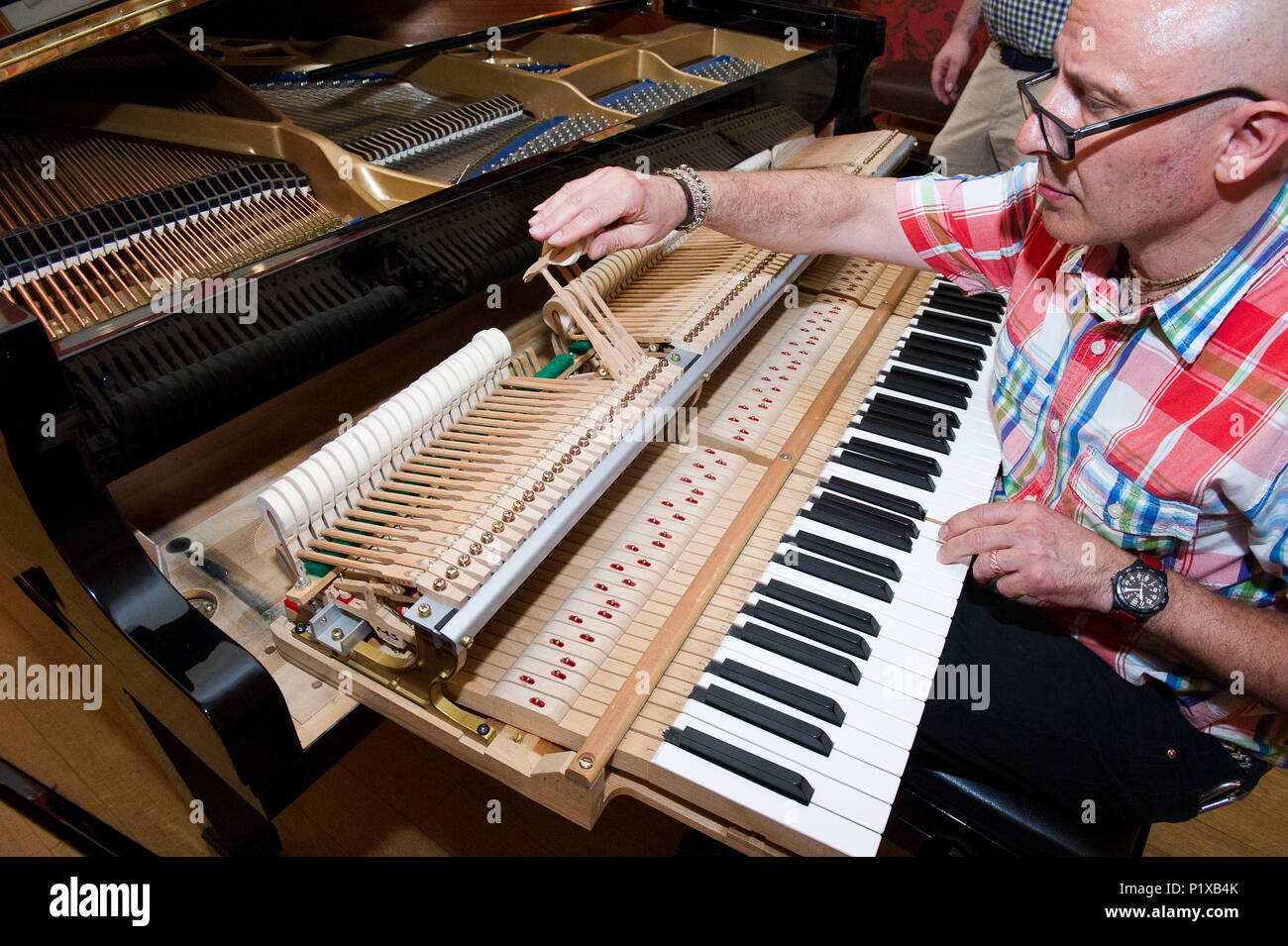 L'Europa, Italia, Lombardia Milano. sintonizzatore di piano tecnico durante una riparazione di un martello. Foto Stock