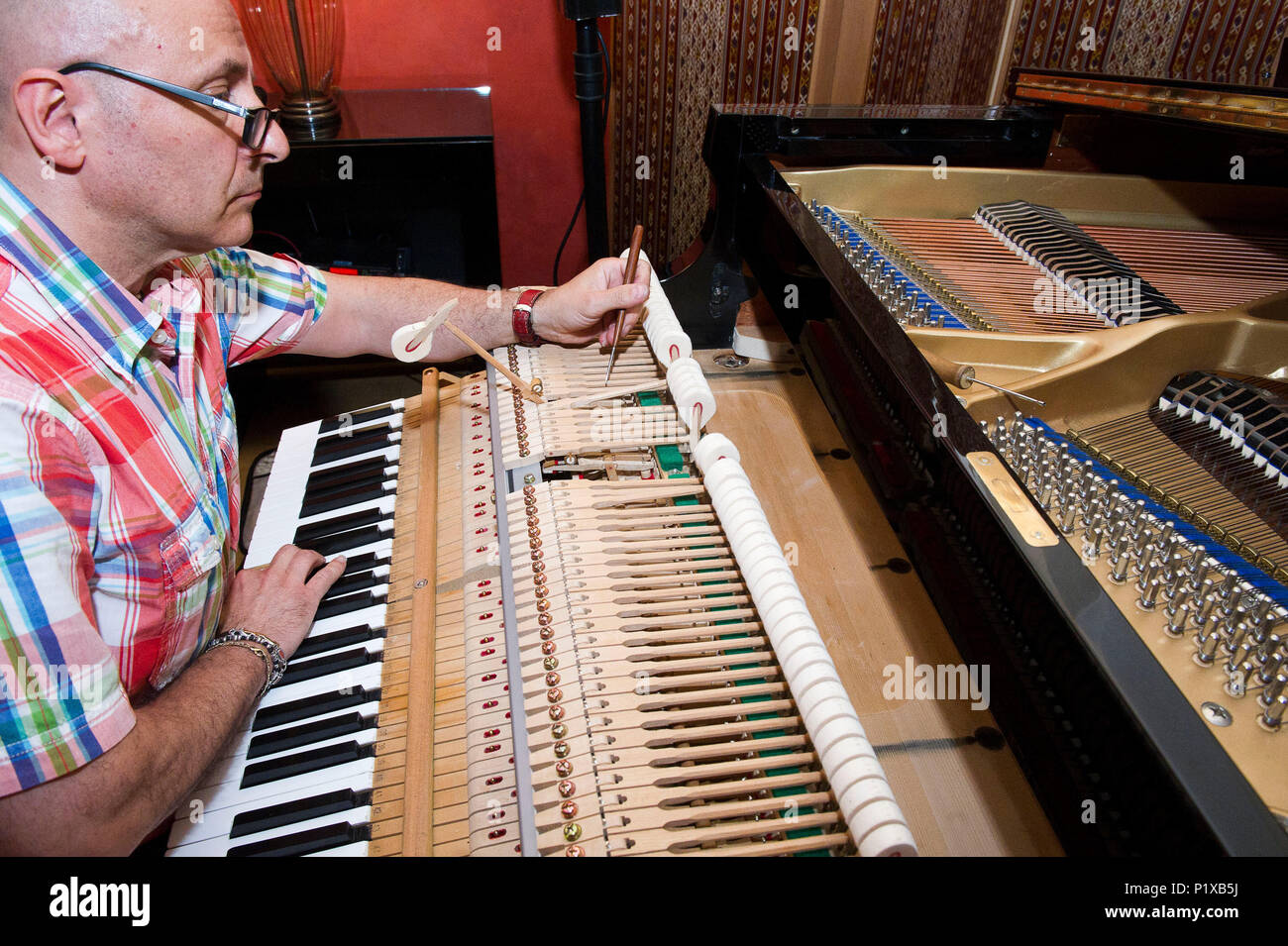 L'Europa, Italia, Lombardia Milano. sintonizzatore di piano tecnico durante una riparazione di un martello. Foto Stock