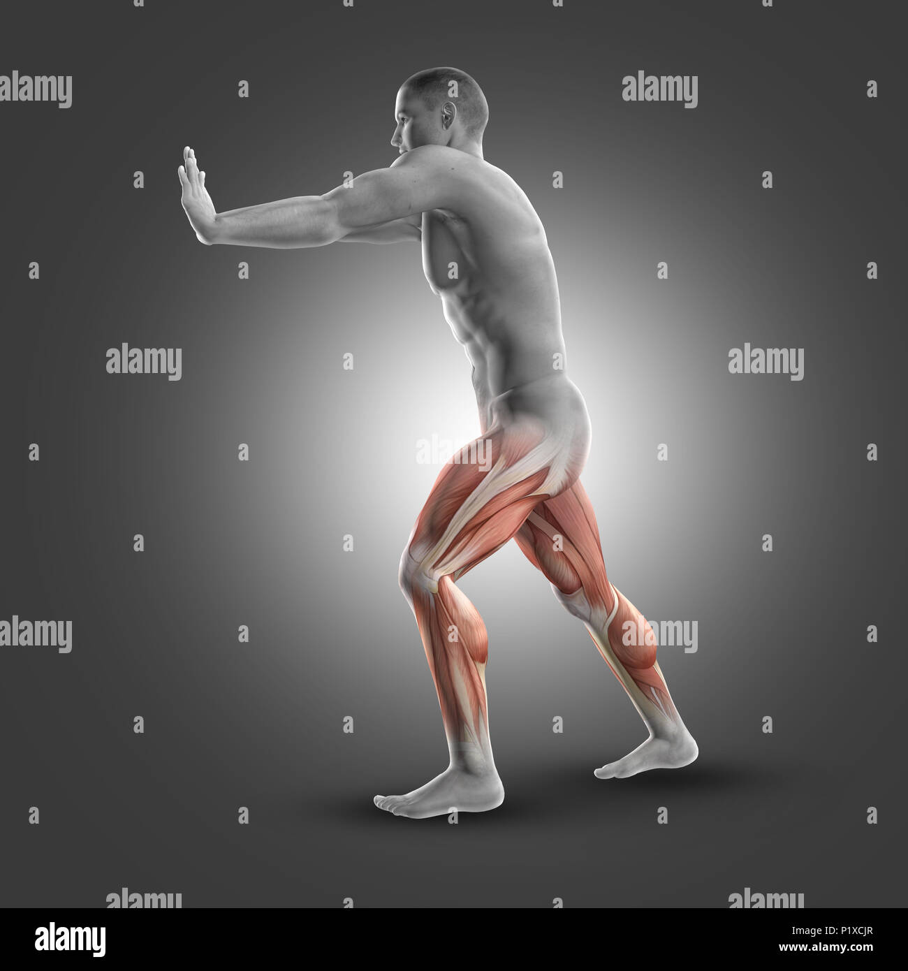 3D render di una figura maschile in piedi gastroc-nemius stretch Foto Stock