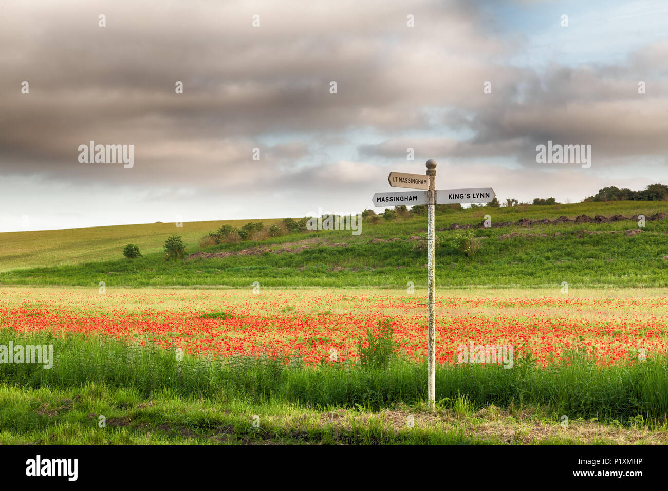 Cartello locale in un campo di papaveri rossi. Concetto di viaggio nelle zone rurali a Norfolk Inghilterra paesaggio Foto Stock