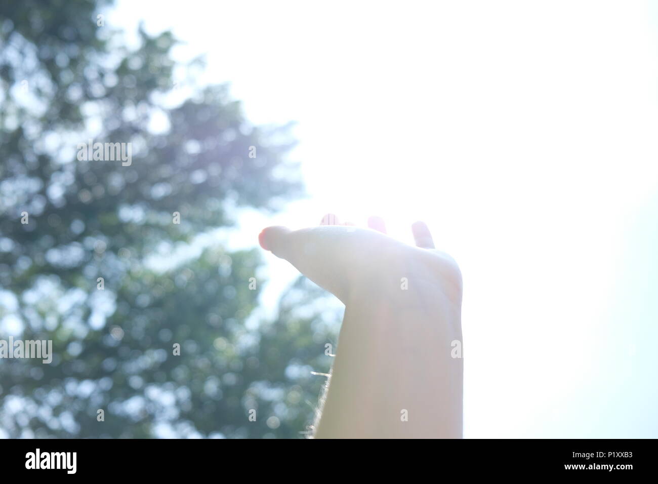 Tenendo il sole in mano in un giorno di estate Foto Stock