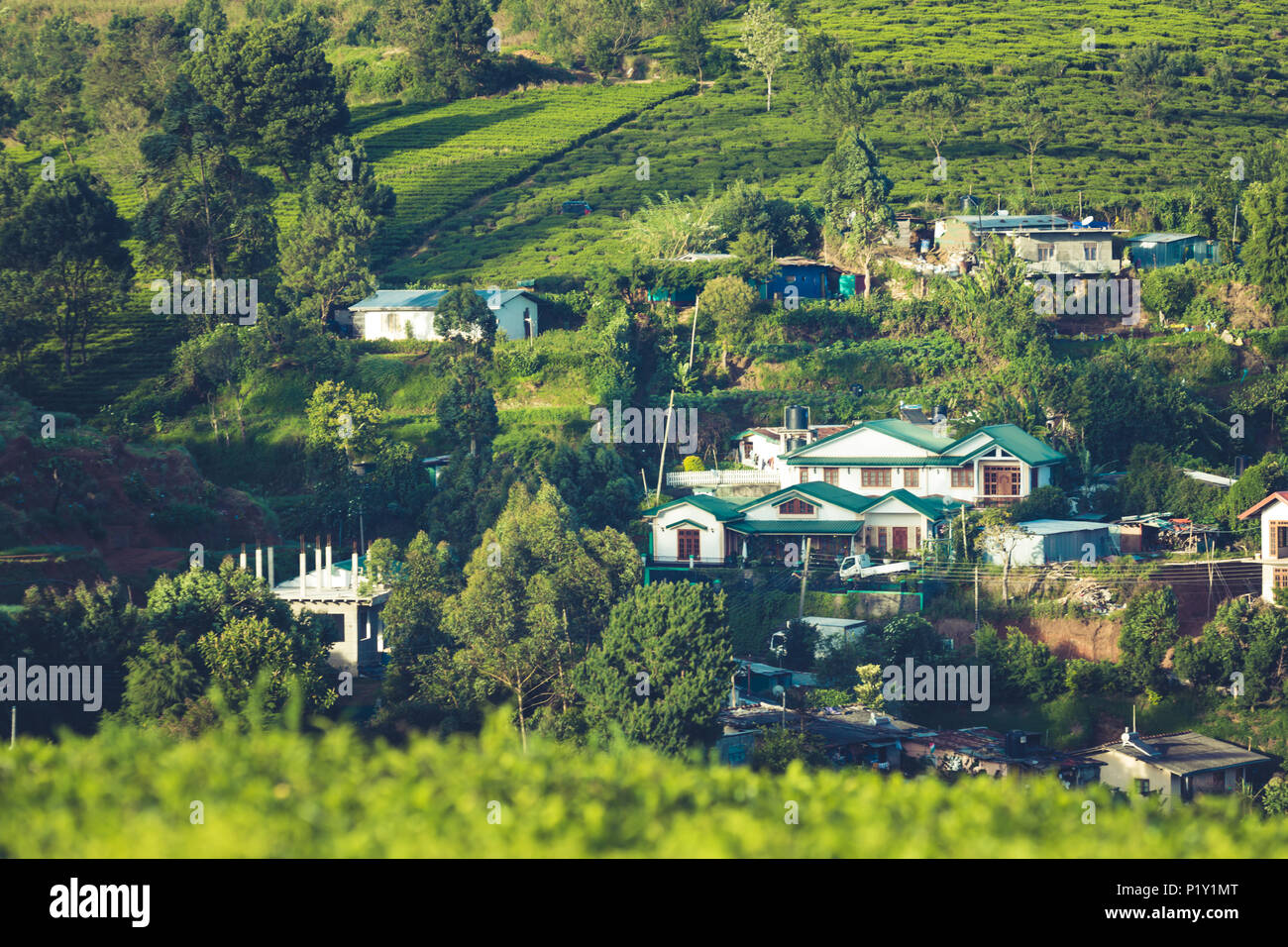 Lo splendido paesaggio di Ceylon. le piantagioni di tè e case antiche. Foto Stock