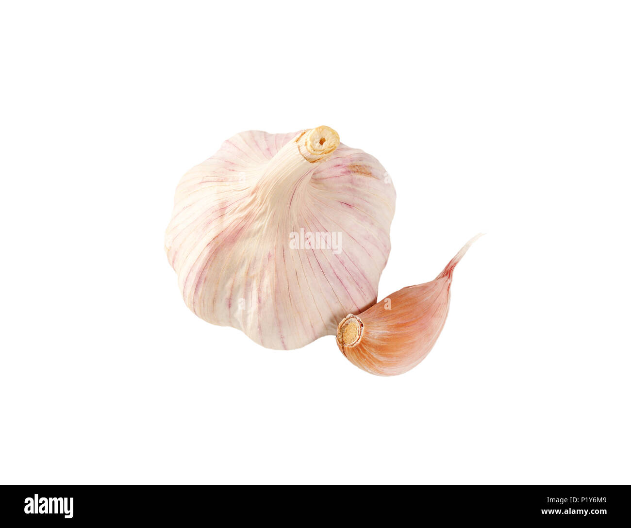 Lampadina e chiodi di garofano di aglio fresco su sfondo bianco Foto Stock