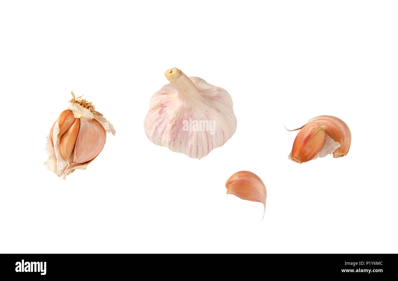 Lampadina e chiodi di garofano di aglio fresco su sfondo bianco Foto Stock