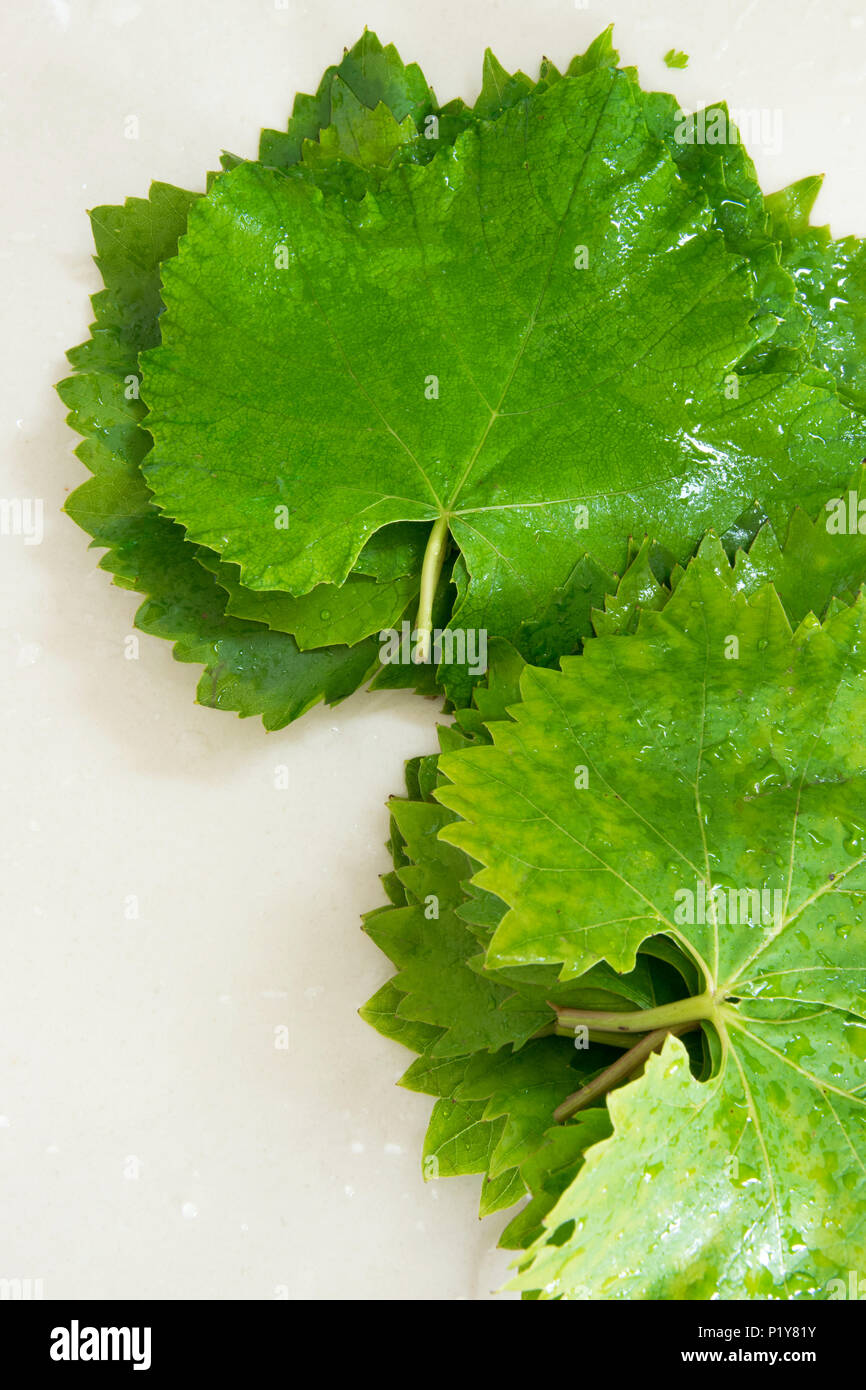 Crudo fresco di foglie di uva su sfondo bianco, spazio per il testo o il menu Foto Stock